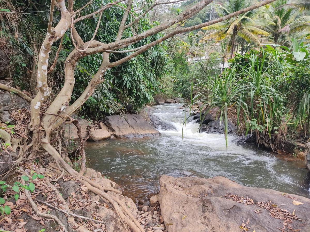 Riverbench Homestay Munnar, Anaviratty المظهر الخارجي الصورة