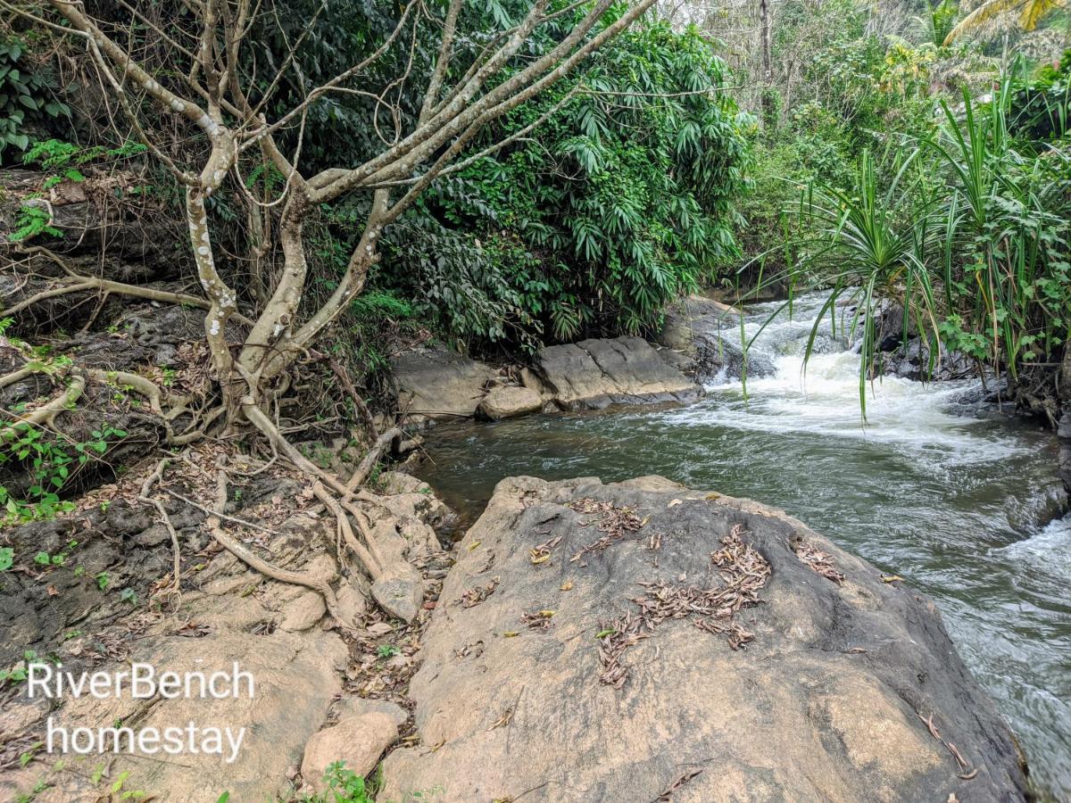 Riverbench Homestay Munnar, Anaviratty المظهر الخارجي الصورة