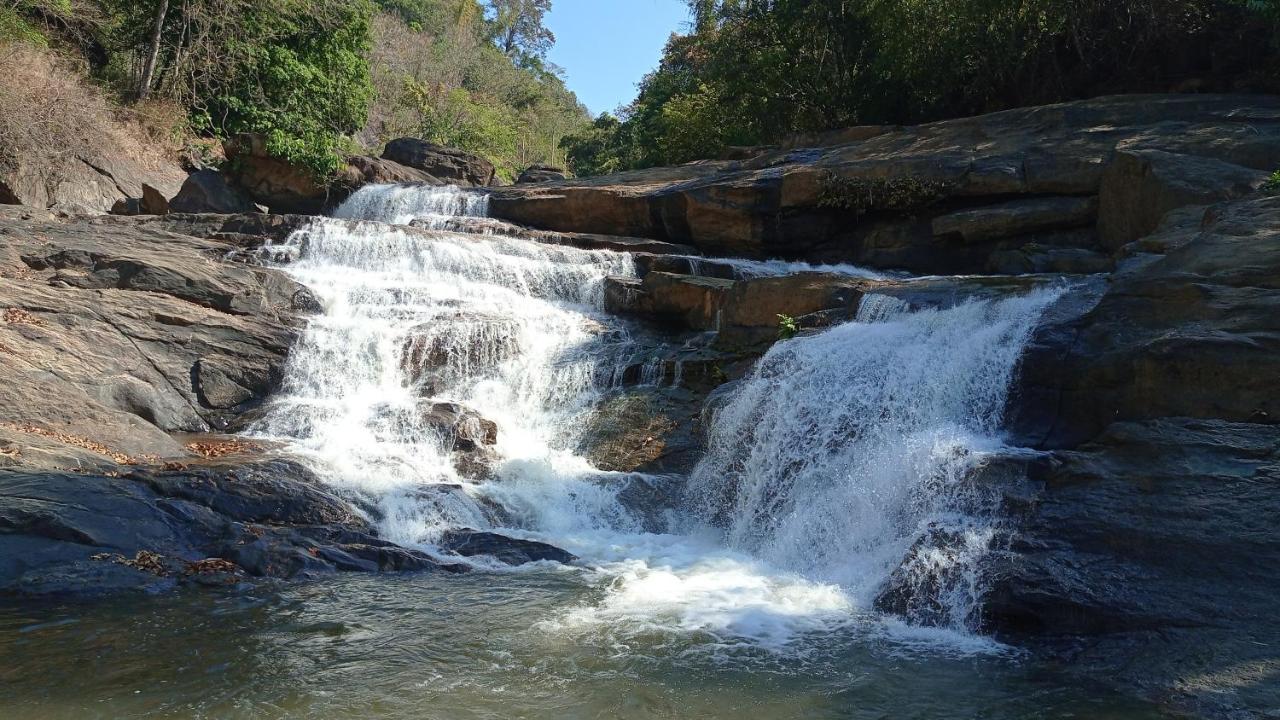 Riverbench Homestay Munnar, Anaviratty المظهر الخارجي الصورة