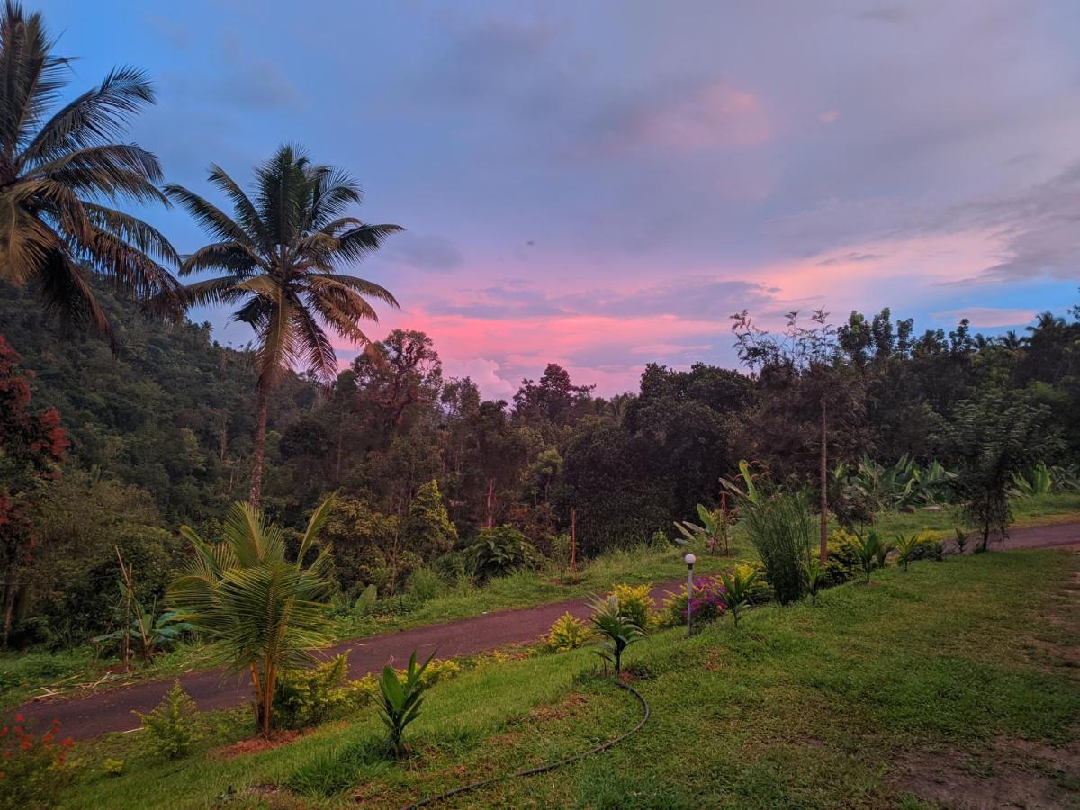 Riverbench Homestay Munnar, Anaviratty المظهر الخارجي الصورة