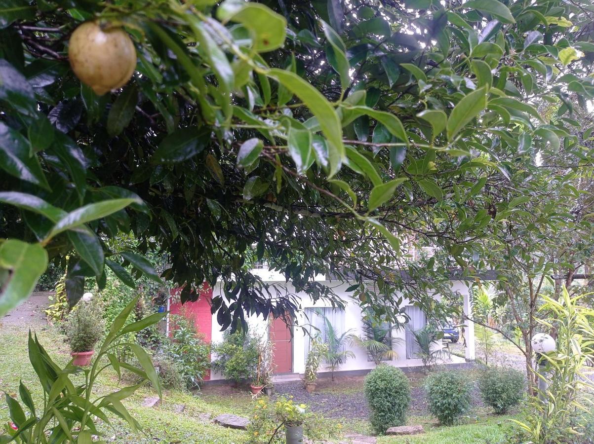 Riverbench Homestay Munnar, Anaviratty المظهر الخارجي الصورة