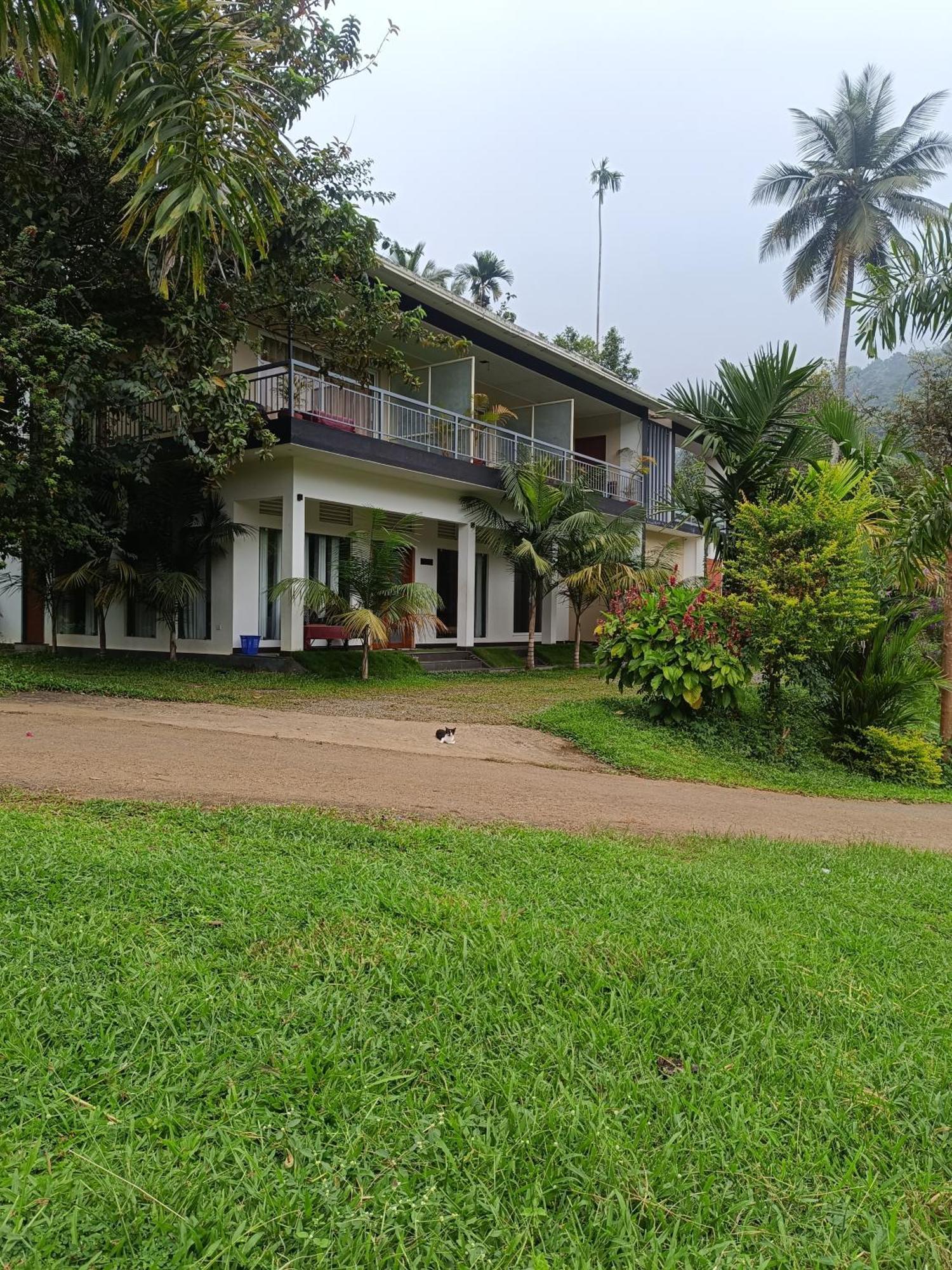 Riverbench Homestay Munnar, Anaviratty المظهر الخارجي الصورة